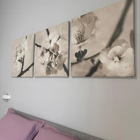 Il Campanile Casa de hóspedes Scafati